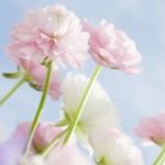 Profile picture of Jus