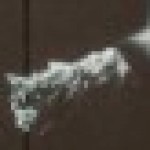 Profile picture of mirek