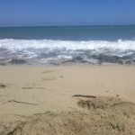 Profile picture of Mohy Bazaa