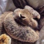 Profile picture of Dominika