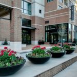 Profile picture of Apartment Locator Dallas