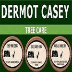 Profile picture of Dermot Casey Tree Surveys