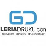 Profile picture of galeria_druku