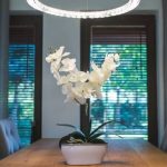 Profile picture of casabella