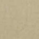 Profile picture of Asseeff